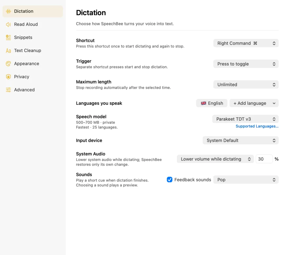 Current SpeechBee Dictation settings on Mac